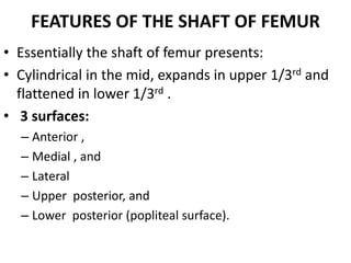 FEATURES OF THE SHAFT OF FEMUR
• Essentially the shaft of femur presents:
• Cylindrical in the mid, expands in upper 1/3rd and
flattened in lower 1/3rd .
• 3 surfaces:
– Anterior ,
– Medial , and
– Lateral
– Upper posterior, and
– Lower posterior (popliteal surface).
 