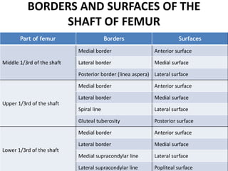 BORDERS AND SURFACES OF THE
SHAFT OF FEMUR
Part of femur Borders Surfaces
Middle 1/3rd of the shaft
Medial border Anterior surface
Lateral border Medial surface
Posterior border (linea aspera) Lateral surface
Upper 1/3rd of the shaft
Medial border Anterior surface
Lateral border Medial surface
Spiral line Lateral surface
Gluteal tuberosity Posterior surface
Lower 1/3rd of the shaft
Medial border Anterior surface
Lateral border Medial surface
Medial supracondylar line Lateral surface
Lateral supracondylar line Popliteal surface
 