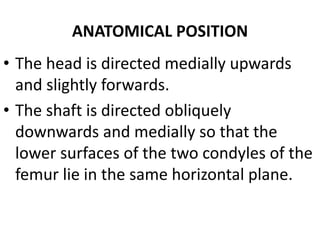 ANATOMICAL POSITION
• The head is directed medially upwards
and slightly forwards.
• The shaft is directed obliquely
downwards and medially so that the
lower surfaces of the two condyles of the
femur lie in the same horizontal plane.
 