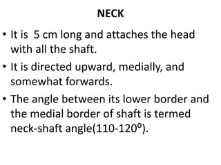 NECK
• It is 5 cm long and attaches the head
with all the shaft.
• It is directed upward, medially, and
somewhat forwards.
• The angle between its lower border and
the medial border of shaft is termed
neck-shaft angle(110-120⁰).
 