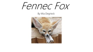 Fennec Fox
By Mia Degrieck
 