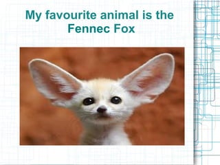 My favourite animal is the
Fennec Fox

 