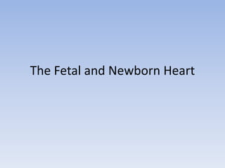 The Fetal and Newborn Heart 