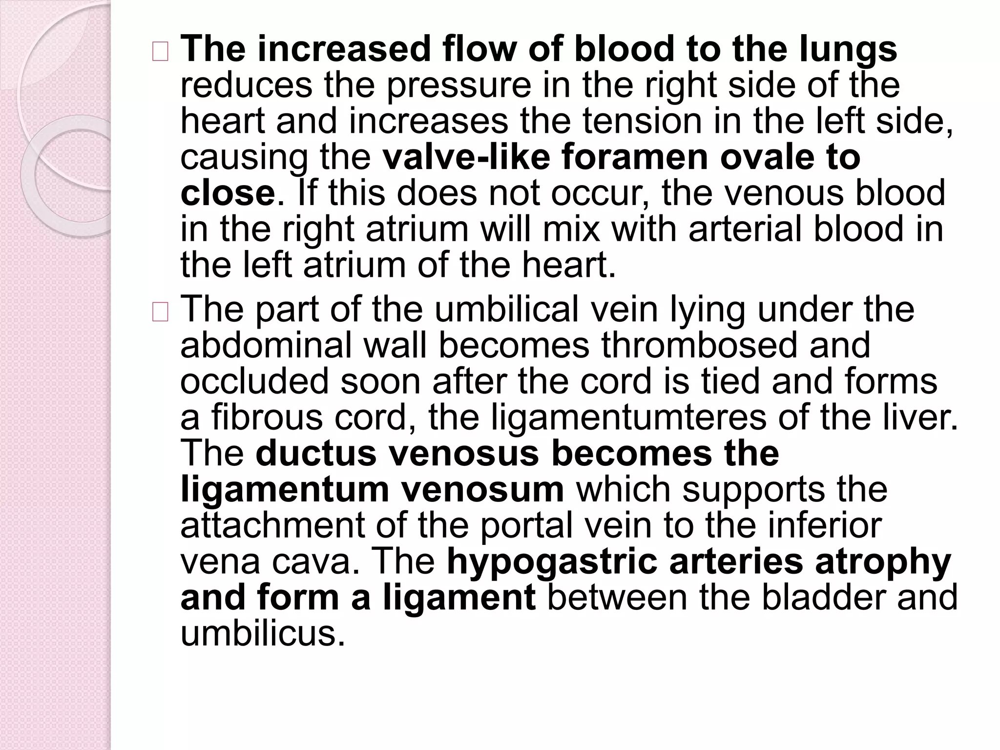The increased flow of blood to the lungs
reduces the pressure in the right side of the
heart and increases the tension in the left side,
causing the valve-like foramen ovale to
close. If this does not occur, the venous blood
in the right atrium will mix with arterial blood in
the left atrium of the heart.
The part of the umbilical vein lying under the
abdominal wall becomes thrombosed and
occluded soon after the cord is tied and forms
a fibrous cord, the ligamentumteres of the liver.
The ductus venosus becomes the
ligamentum venosum which supports the
attachment of the portal vein to the inferior
vena cava. The hypogastric arteries atrophy
and form a ligament between the bladder and
umbilicus.
 