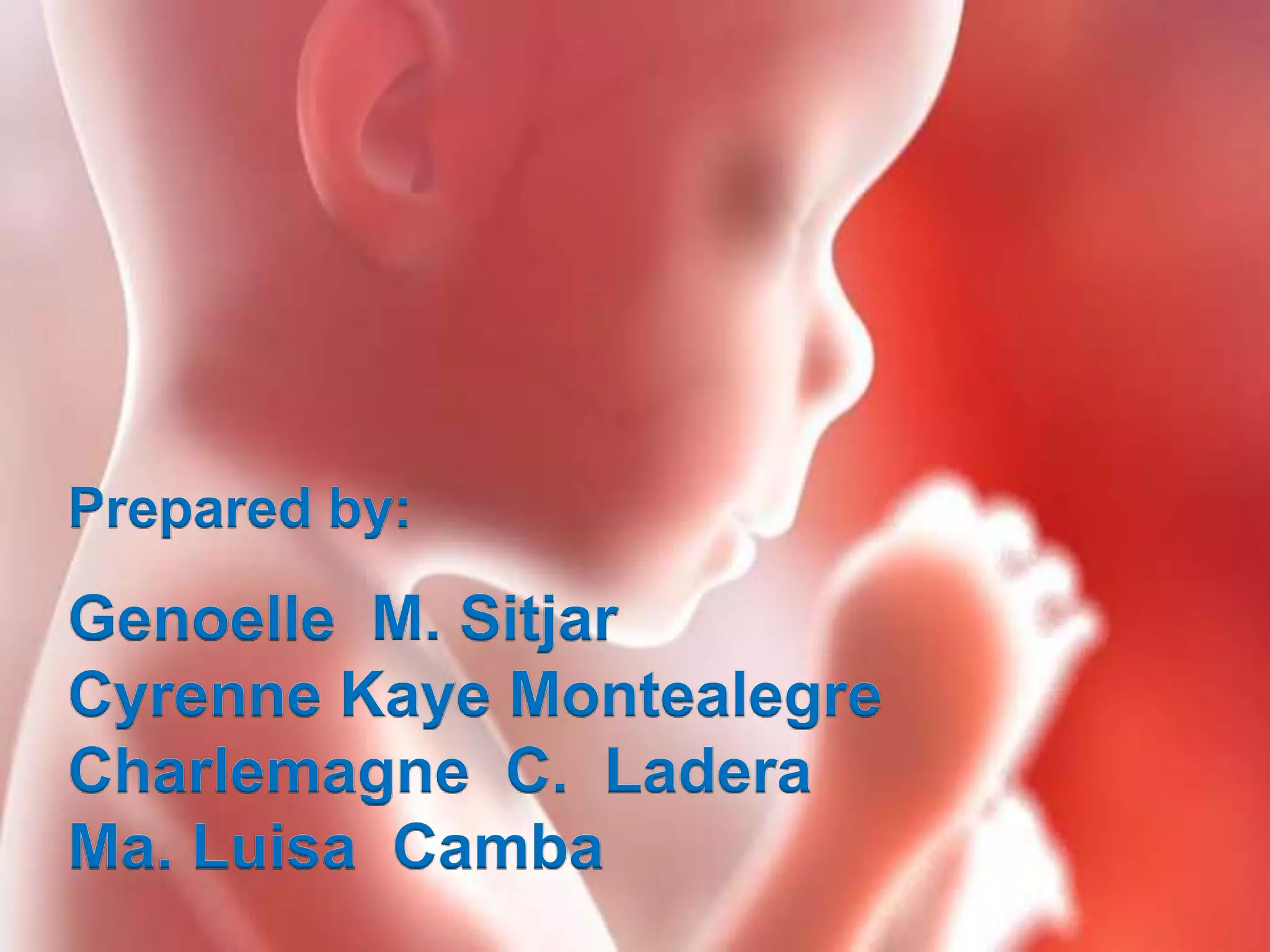 The fetal circulation