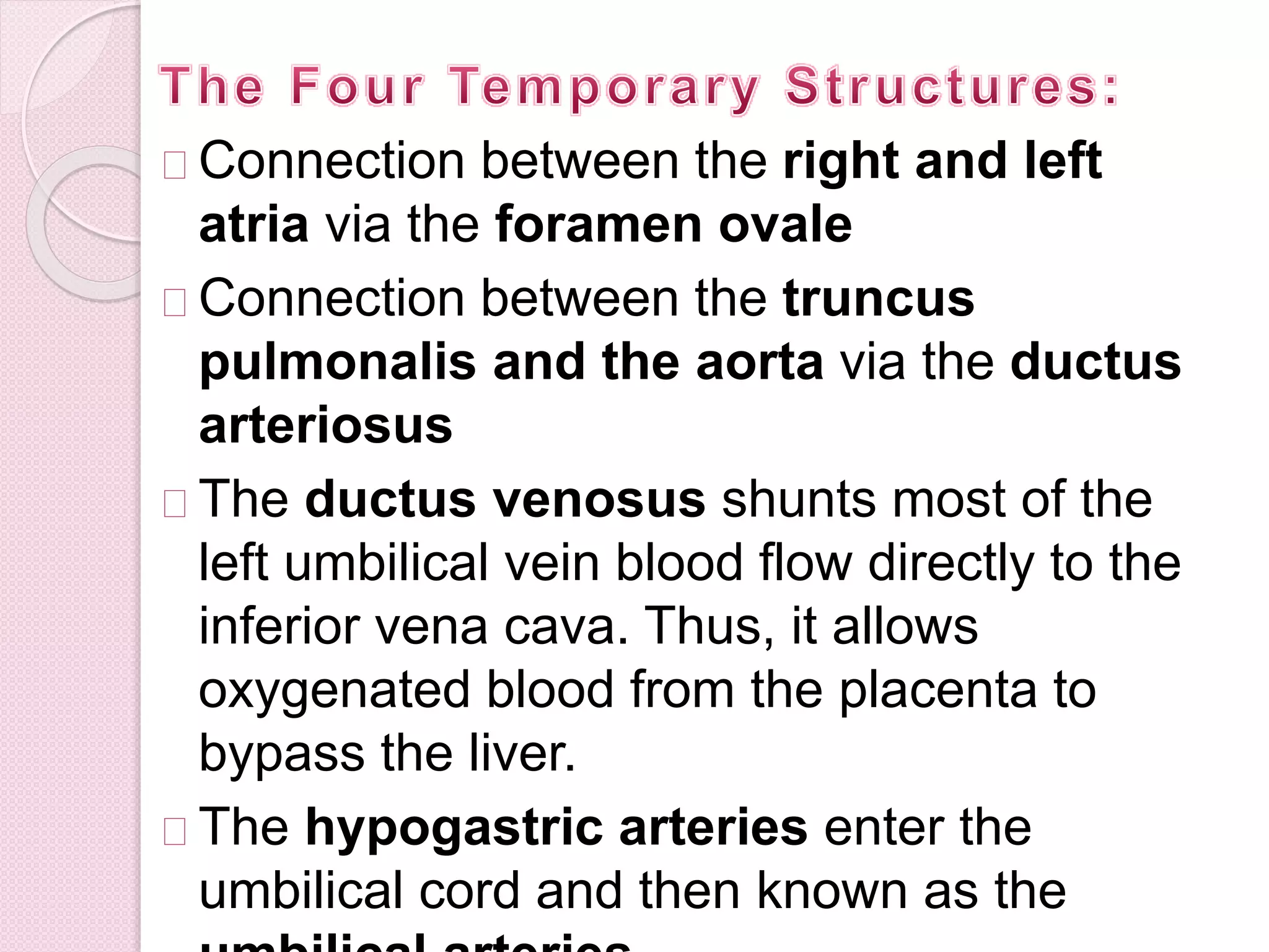 Connection between the right and left
atria via the foramen ovale
Connection between the truncus
pulmonalis and the aorta via the ductus
arteriosus
The ductus venosus shunts most of the
left umbilical vein blood flow directly to the
inferior vena cava. Thus, it allows
oxygenated blood from the placenta to
bypass the liver.
The hypogastric arteries enter the
umbilical cord and then known as the
 