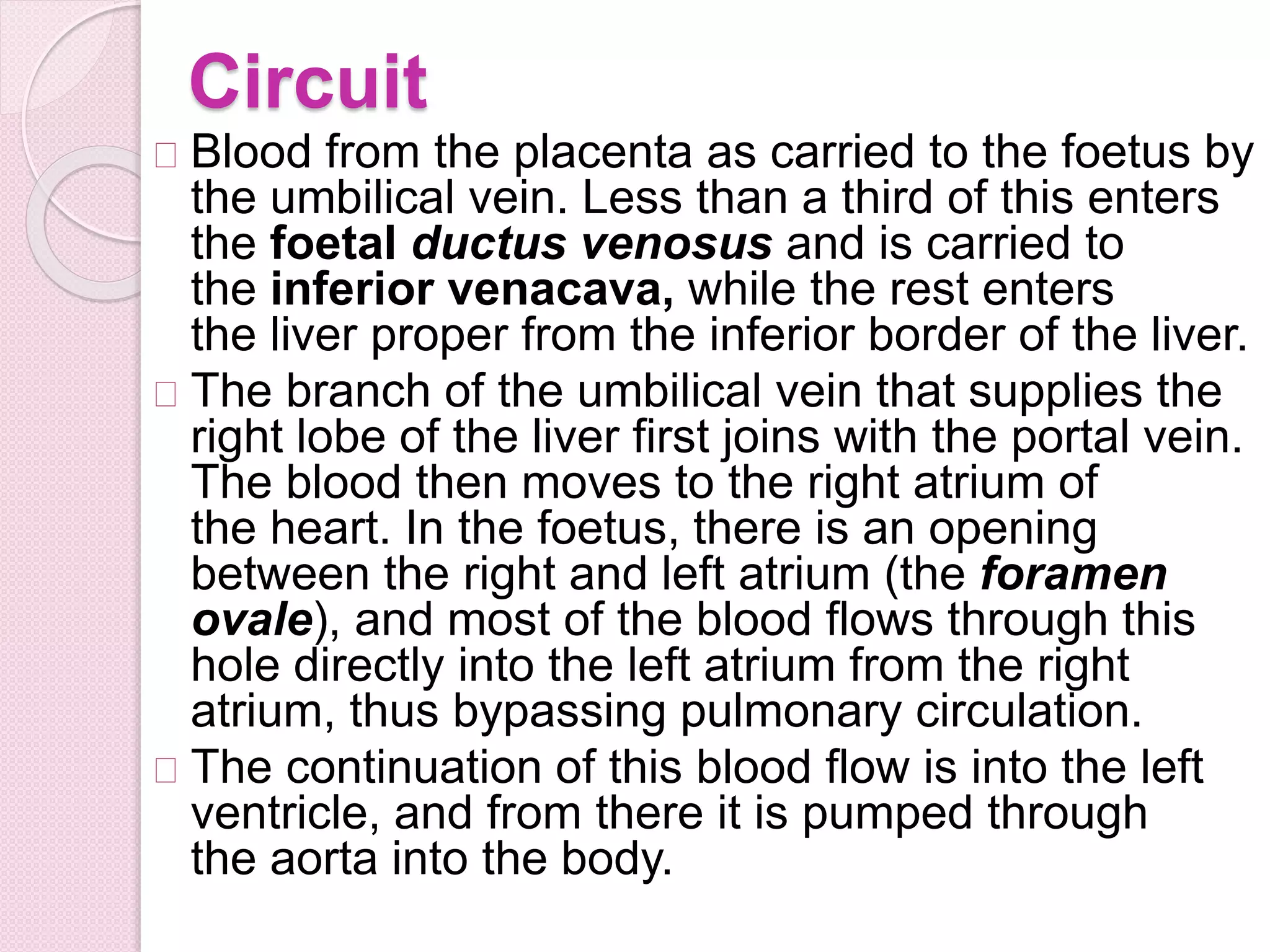 Circuit
Blood from the placenta as carried to the foetus by
the umbilical vein. Less than a third of this enters
the foetal ductus venosus and is carried to
the inferior venacava, while the rest enters
the liver proper from the inferior border of the liver.
The branch of the umbilical vein that supplies the
right lobe of the liver first joins with the portal vein.
The blood then moves to the right atrium of
the heart. In the foetus, there is an opening
between the right and left atrium (the foramen
ovale), and most of the blood flows through this
hole directly into the left atrium from the right
atrium, thus bypassing pulmonary circulation.
The continuation of this blood flow is into the left
ventricle, and from there it is pumped through
the aorta into the body.
 