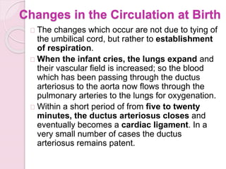 The fetal circulation | PPTX