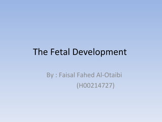 The Fetal Development  By : Faisal Fahed Al-Otaibi (H00214727) 