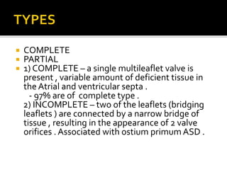  COMPLETE
 PARTIAL
 1) COMPLETE – a single multileaflet valve is
present , variable amount of deficient tissue in
the Atrial and ventricular septa .
- 97% are of complete type .
2) INCOMPLETE – two of the leaflets (bridging
leaflets ) are connected by a narrow bridge of
tissue , resulting in the appearance of 2 valve
orifices . Associated with ostium primum ASD .
 