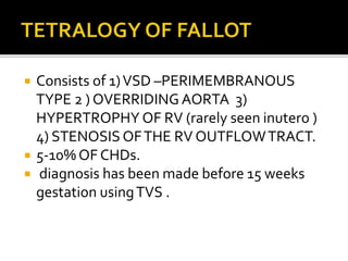  Consists of 1)VSD –PERIMEMBRANOUS
TYPE 2 ) OVERRIDING AORTA 3)
HYPERTROPHY OF RV (rarely seen inutero )
4) STENOSIS OFTHE RV OUTFLOWTRACT.
 5-10% OF CHDs.
 diagnosis has been made before 15 weeks
gestation usingTVS .
 