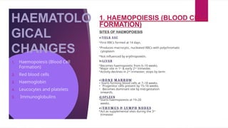 HAEMATOLO
GICAL
CHANGES
1. HAEMOPOIESIS (BLOOD CELL
FORMATION)
SITES OF HAEMOPOIESIS
a)YO L K SAC
•First RBCs formed at 14 days.
•Produces macrocytic, nucleated RBCs with polychromatic
cytoplasm
•Not influenced by erythropoietin.
b)LIV ER
•Becomes haemopoietic from 6–10 weeks.
•Major site in 1st
& early 2nd
trimester.
•Activity declines in 2nd
trimester; stops by term.
c)B O N E M A R R OW
• Starts forming blood cells at 7–18 weeks.
• Progenitor cells present by 15–16 weeks.
• Becomes dominant site by mid-gestation
onwards.
d)SPLEEN
•Starts haemopoiesis at 19–20
weeks.
e)T H Y M U S & LY M P H N O D E S
•Act as supplemental sites during the 3rd
trimester.
1. Haemopoiesis (Blood Cell
Formation)
2. Red blood cells
3. Haemoglobin
4. Leucocytes and platelets
5. Immunoglobulins
 