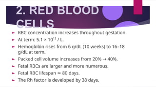 2. RED BLOOD
CELLS
► RBC concentration increases throughout gestation.
► At term: 5.1 × 10¹² / L.
► Hemoglobin rises from 6 g/dL (10 weeks) to 16–18
g/dL at term.
► Packed cell volume increases from 20% → 40%.
► Fetal RBCs are larger and more numerous.
► Fetal RBC lifespan ≈ 80 days.
► The Rh factor is developed by 38 days.
 