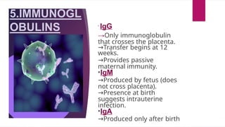5.IMMUNOGL
OBULINS •
IgG
→Only immunoglobulin
that crosses the placenta.
→Transfer begins at 12
weeks.
→Provides passive
maternal immunity.
•IgM
→Produced by fetus (does
not cross placenta).
→Presence at birth
suggests intrauterine
infection.
•IgA
→Produced only after birth
 