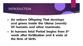 INTRODUCTION
An unborn Offspring That develops
and grows inside the Uterus (womb)
Of humans and other mammals.
In humans fetal Period begins from 8t
h
week after fertilization and it ends at
the time of birth.
 
