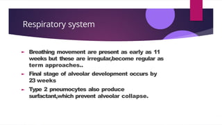 Respiratory system
Breathing movement are present as early as 11
weeks but these are irregular,become regular as
term approaches..
Final stage of alveolar development occurs by
23 weeks
Type 2 pneumocytes also produce
surfactant,which prevent alveolar collapse.
 