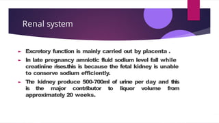 Renal system
Excretory function is mainly carried out by placenta .
In late pregnancy amniotic fluid sodium level fall while
creatinine rises.this is because the fetal kidney is unable
to conserve sodium efficiently.
The kidney produce 500-700ml of urine per day and this
is the major contributor to liquor volume from
approximately 20 weeks.
 