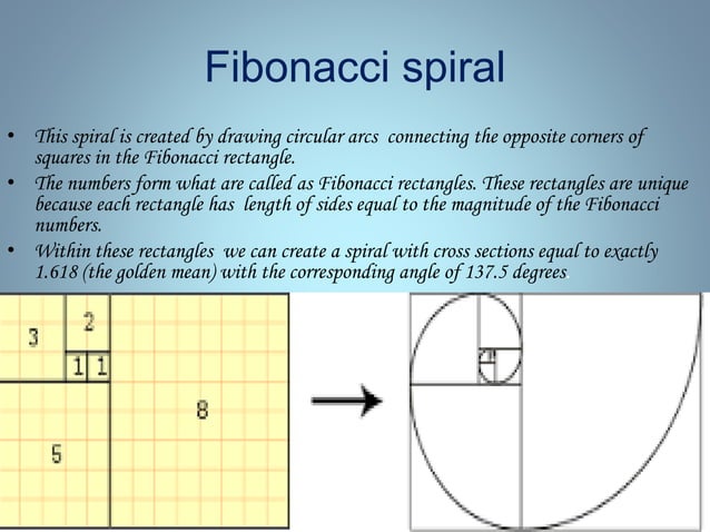 The fibonacci sequence | PPTX | Physics | Science