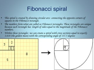 The fibonacci sequence | PPT