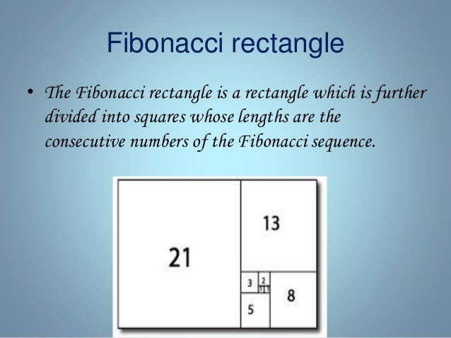 The fibonacci sequence
