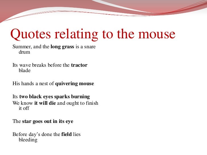 The field mouse by gillian clarke