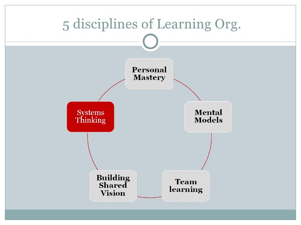 Learning org. Fifth discipline. broad learning system model. blocks of lifelong learning. self-organization and self-education.