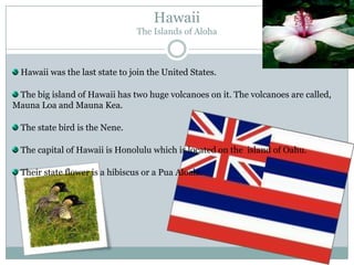 Hawaii
                                 The Islands of Aloha



  Hawaii was the last state to join the United States.

 The big island of Hawaii has two huge volcanoes on it. The volcanoes are called,
Mauna Loa and Mauna Kea.

  The state bird is the Nene.

  The capital of Hawaii is Honolulu which is located on the island of Oahu.

  Their state flower is a hibiscus or a Pua Aloala.
 