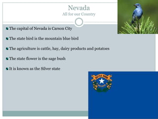 Nevada
                                  All for our Country


The capital of Nevada is Carson City

The state bird is the mountain blue bird

The agriculture is cattle, hay, dairy products and potatoes

The state flower is the sage bush

It is known as the Silver state
 