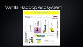 Vanilla Hadoop ecosystemVanilla Hadoop ecosystem
 