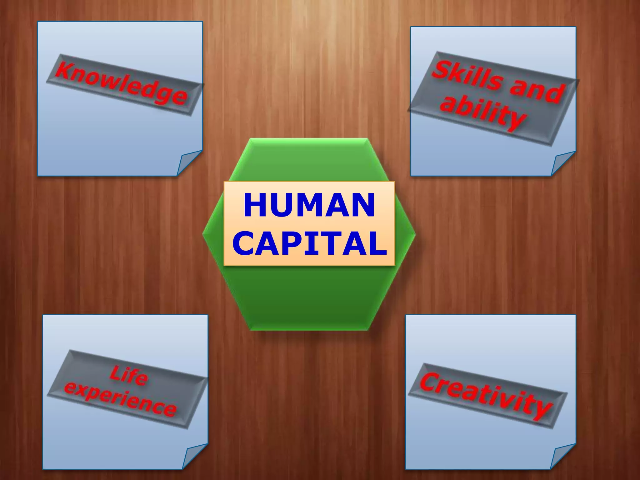 HUMAN
CAPITAL

 