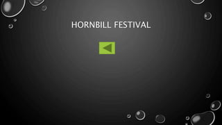 HORNBILL FESTIVAL
 
