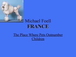 Michael Foell FRANCE The Place Where Pets Outnumber Children 