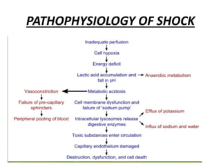 PATHOPHYSIOLOGY OF SHOCK
 