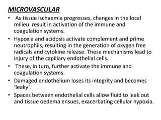 MICROVASCULAR
• As tissue ischaemia progresses, changes in the local
milieu result in activation of the immune and
coagulation systems.
• Hypoxia and acidosis activate complement and prime
neutrophils, resulting in the generation of oxygen free
radicals and cytokine release. These mechanisms lead to
injury of the capillary endothelial cells.
• These, in turn, further activate the immune and
coagulation systems.
• Damaged endothelium loses its integrity and becomes
‘leaky’.
• Spaces between endothelial cells allow fluid to leak out
and tissue oedema ensues, exacerbating cellular hypoxia.
 
