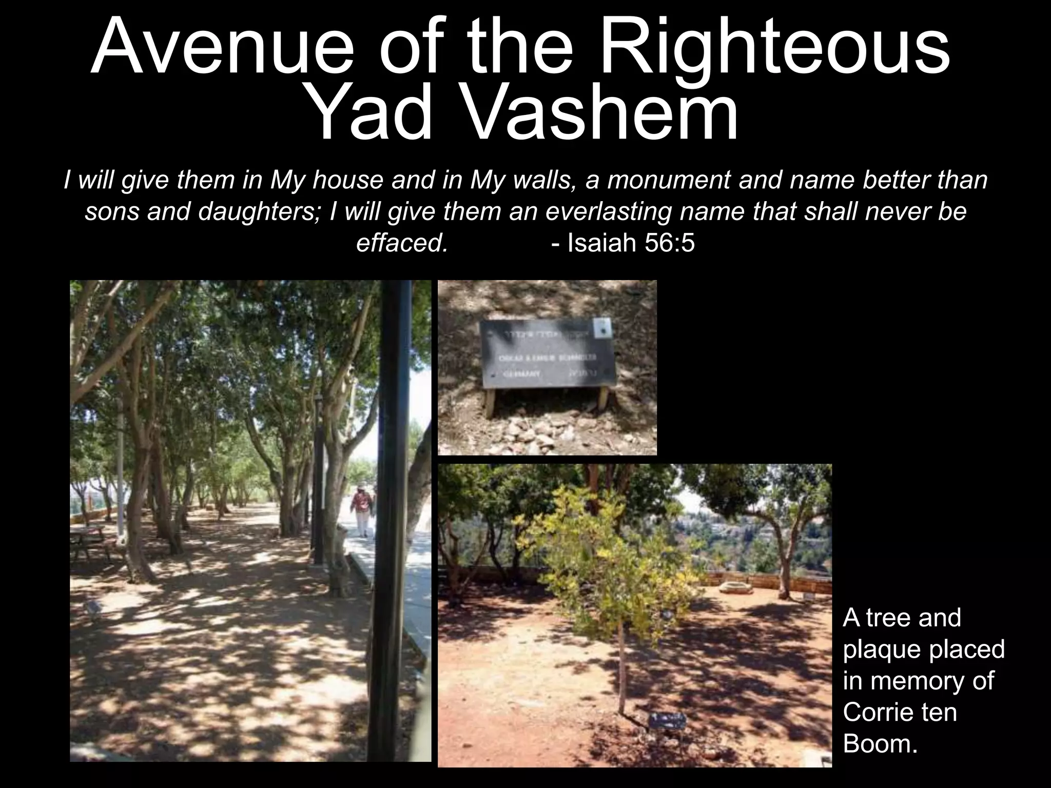 1. Conspiracy to Commit Crimes   2. Crimes Against Peace   3. War Crimes    4. Crimes Against Humanity