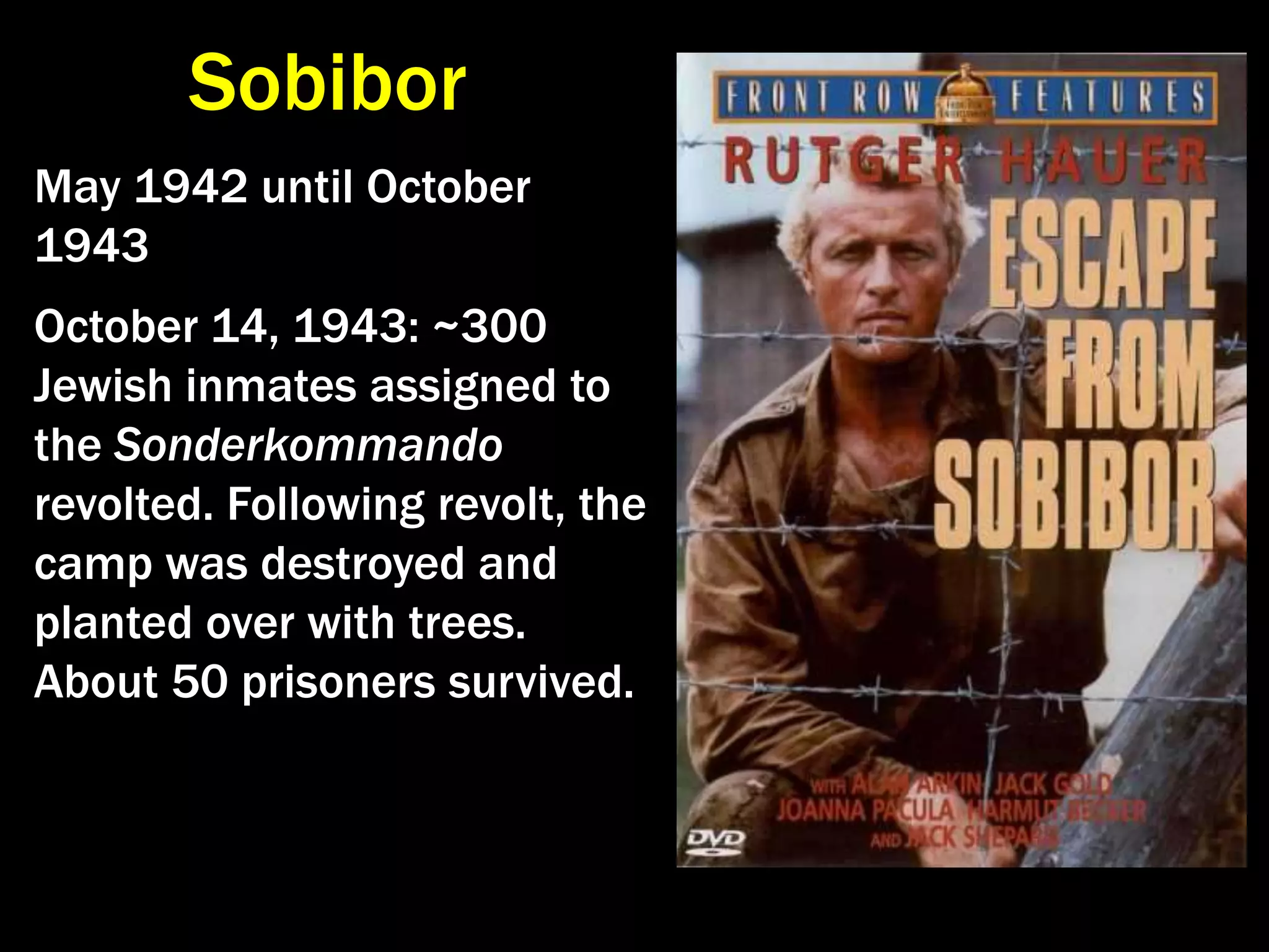 Extermination CampsDachau, Germany.  (labor camp)Drancy, France.                        Courtyard used to round up Jews for deportation.      (transit camp) Buchenwald, Germany.  (labor camp) Westerbork, Netherlands.           Lighting Chanukah candles.  (transit camp)Theresienstadt, Czechoslovakia. Production of opera Brundibar.  (ghetto/transit camp)Bergen-Belsen, Germany.  (labor camp)                        