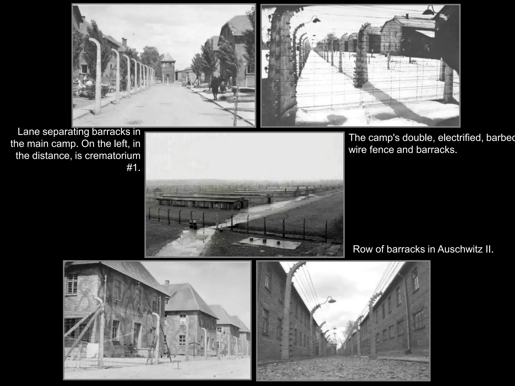 Chelmnofirst extermination camp; three gas vans; no crematoria, just mass graves in the woods. December 8, 1941-March 1943 No railroad; brought by trucksSS wearing white coats like doctors led Jews to “bathhouse” - down a ramp into the back of a large paneled truck holding 50-70 people; carbon monoxide asphyxiation in 10-15 minutes; bodies driven to graves in the forest170,000-360,000 killed at Chelmno