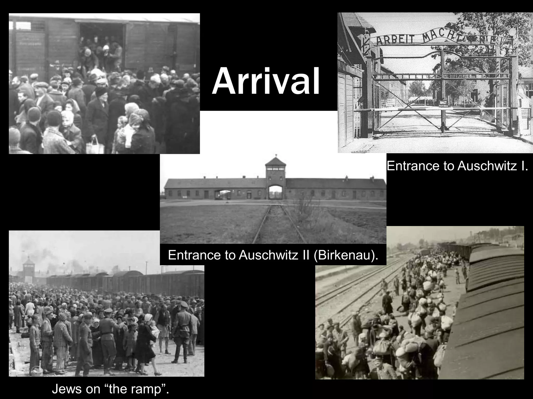 SobiborMay 1942 until October 1943 October 14, 1943: ~300 Jewish inmates assigned to the Sonderkommandorevolted. Following revolt, the camp was destroyed and planted over with trees. About 50 prisoners survived.