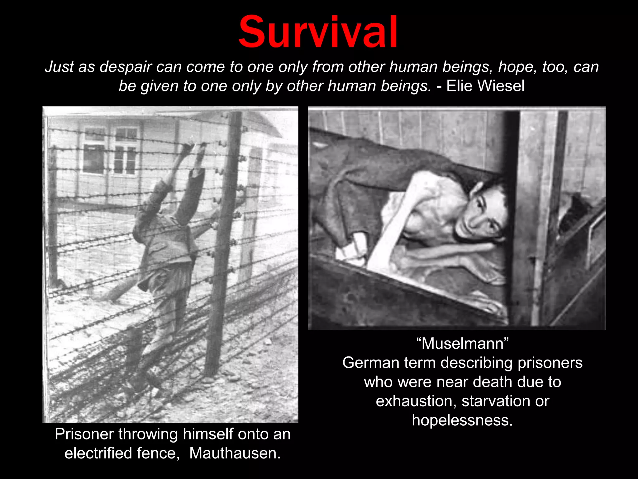 ArrivalEntrance to Auschwitz I.Entrance to Auschwitz II (Birkenau). Jews on “the ramp”. 