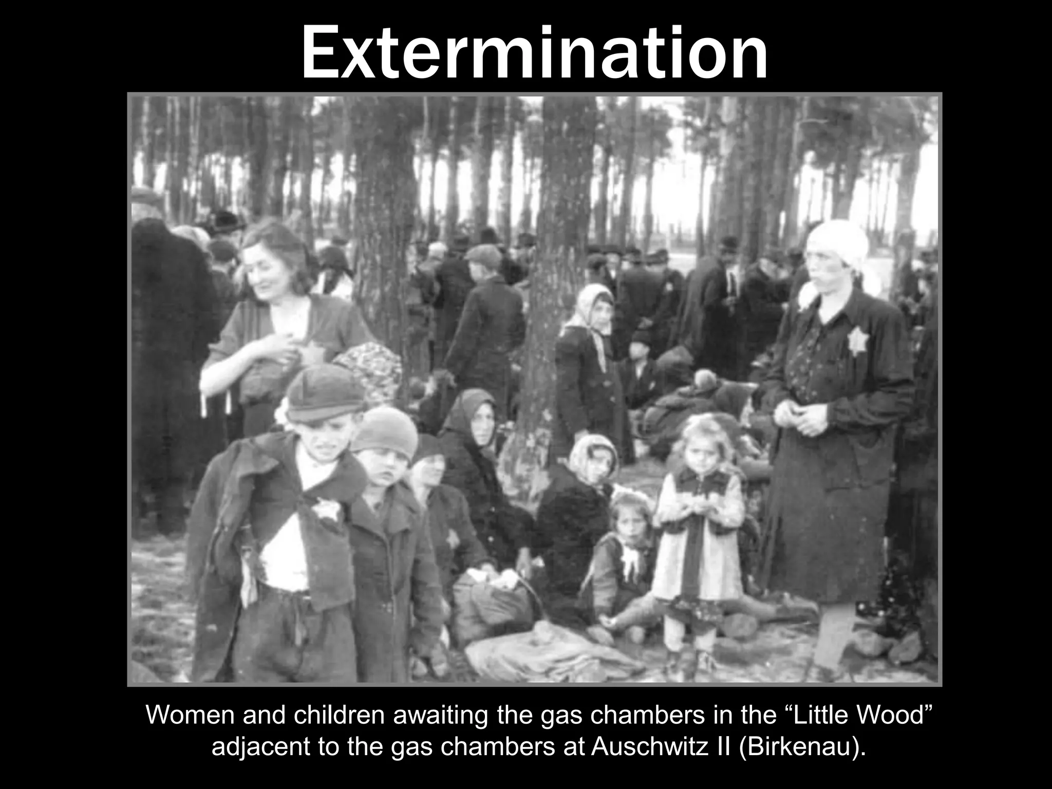Those “unfit” for work were exterminated.Those “fit” for work were registered as prisoners.