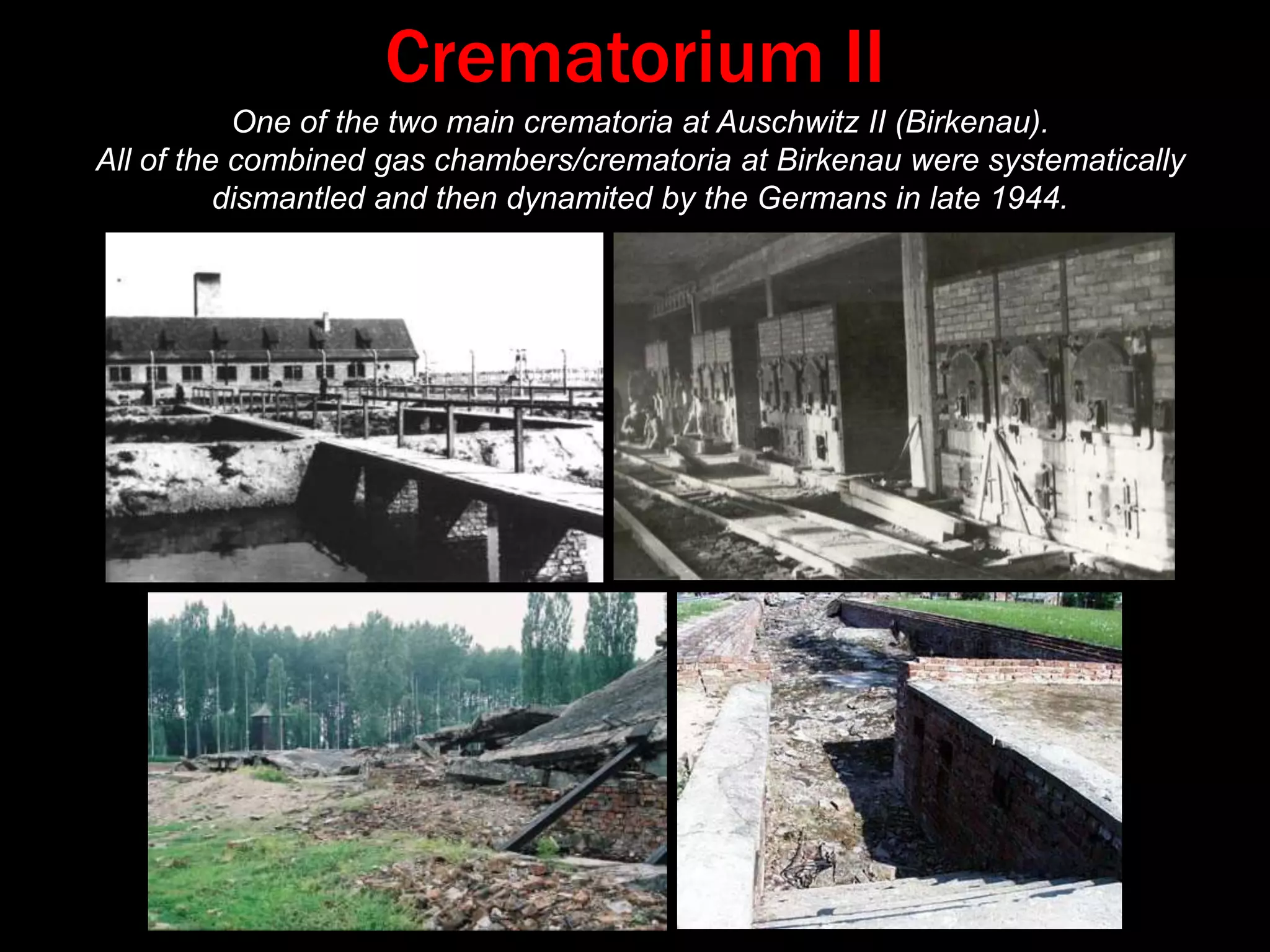 Roll CallLife is not important at the roll call.  Numbers are important.  Numbers tally.       - Salmen Gradowski, Auschwitz SurvivorAmidst a Nightmare of Crime