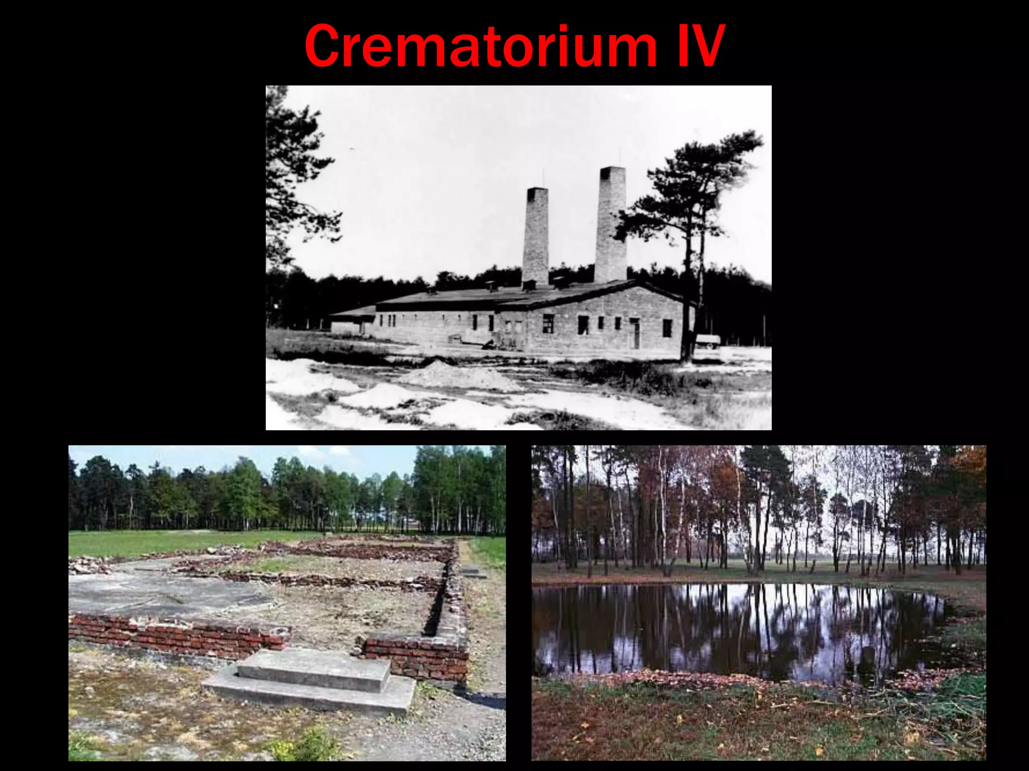 FoodA fortnight after my arrival, I already had the prescribed hunger, that chronic hunger unknown to free men, which makes one dream at night, and settles in all the limbs of one’s  body.  - Primo Levi, Survival at AuschwitzA DAY’S RATIONSBreakfast      2 cups coffee or tea		       (often nothing more than                             	       dried leaves or bark,usually                             	       birch, in hot water)Midday	       3 cups turnip and potato soup , 	       a scrap of meat or Avo (yeast 	       extract) addedEvening	      10 oz. of bread,                       	       less than 1 oz. sausage 	or 	       cheese, and a teaspoon of 	       margarine and beet jam