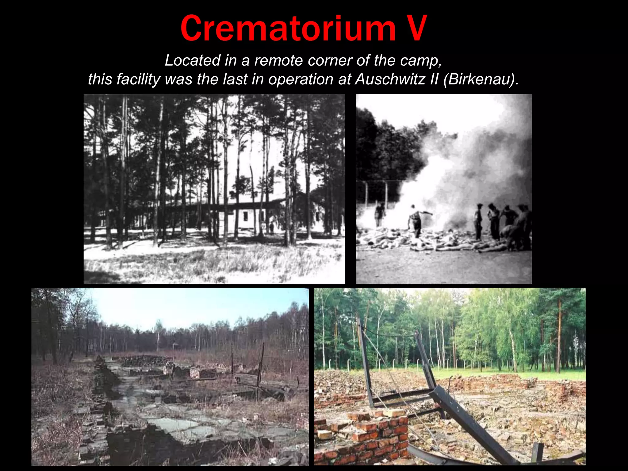 Drawings of Ella Liebermann ShiberHunger - Looking for Food      “Auf der Suche nach Kartoffelschalen”             (Looking for potato peels )Soup Distribution           “Juden bekommen zuletzt!” (Jews are last!)Hunger – Stealing Bread“Der Dieb” (The Thief )