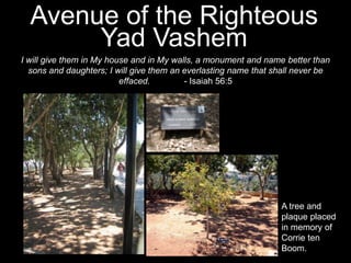 1. Conspiracy to Commit Crimes   2. Crimes Against Peace   3. War Crimes    4. Crimes Against Humanity