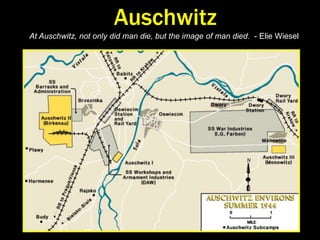 Extermination Camps~ 50% of Jewish victims gassed w/ Diesel exhaust; as many as killed by Zyklon-B