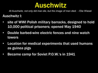 Hitler never visited death camp; Himmler did, gassing made him ill