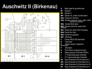 June 6, 1944: D-day. By then, majority of Holocaust victims already deadExtermination Camps100,000Victims