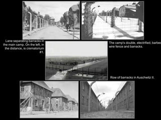 Chelmnofirst extermination camp; three gas vans; no crematoria, just mass graves in the woods. December 8, 1941-March 1943 No railroad; brought by trucksSS wearing white coats like doctors led Jews to “bathhouse” - down a ramp into the back of a large paneled truck holding 50-70 people; carbon monoxide asphyxiation in 10-15 minutes; bodies driven to graves in the forest170,000-360,000 killed at Chelmno