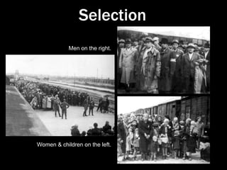 TreblinkaLiving Area1. Main entrance 2. Commandant's living quarters 3. Ukranian guards' living quarters 4. Zoo 5. Service buildings for the SS 6. Barracks for the domestic staff 7. Building for sorting valuables 8. SS living quarters 9. Service Storage Buildings 10. Stables and livestock area 11. Barracks for women prisoners 12. Barracks for male prisoners 13. Latrine 14. Assembly area for prisoners 15. Entrances to reception area16. Entrance for the guardsReception Area17. Station platform, ramp, and square 18. Storehouse for victims' property       (disguised as a train station) 19. Burial pits 20. Execution site       (disguised as a hospital) 21. Reception square (sorting area) 22. Latrine 23. Cremation pyres 24. Deportation area 25. Barracks where women undressed,        surrendered their valuables,       and had heads shaved 26. Barracks where men undressed 27. Approach to the gas chambers(the tube, der Schlauch)Living AreaExtermination Area28. New gas chambers 29. Old gas chambers 30. Cremation pyres 31. Prisoners barracksReception AreaExtermination Area