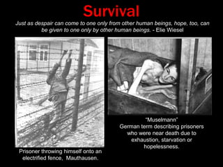 ArrivalEntrance to Auschwitz I.Entrance to Auschwitz II (Birkenau). Jews on “the ramp”. 